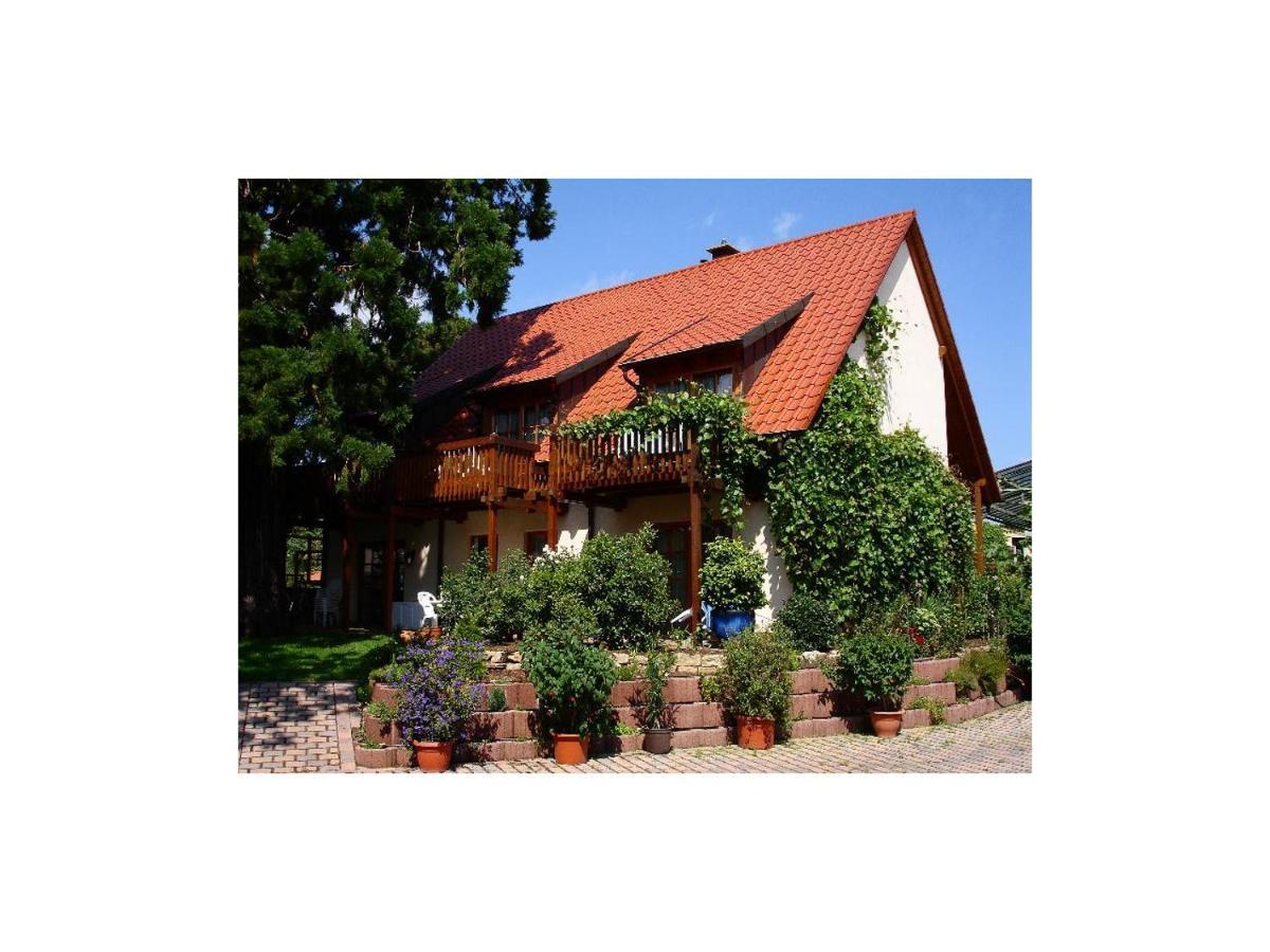 Gaestehaus Hellmer Neustadt an der Weinstraße Dış mekan fotoğraf